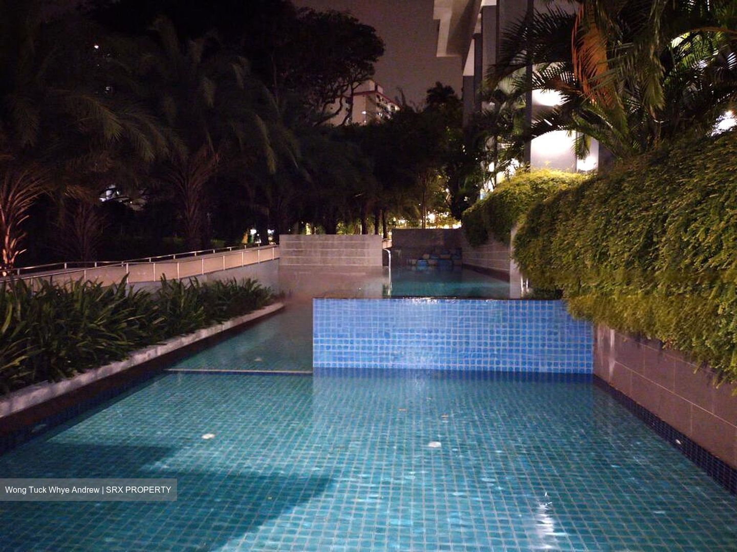 Spottiswoode 18 (D2), Apartment #485276811